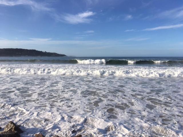 Appartement Les Hirondelles 2Km Plage-Wifi-Jardin-Parking-Draps Et Serviettes Hendaye Eksteriør billede